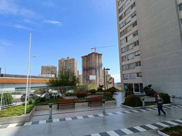 Departamento para Arriendo en Antofagasta - 4